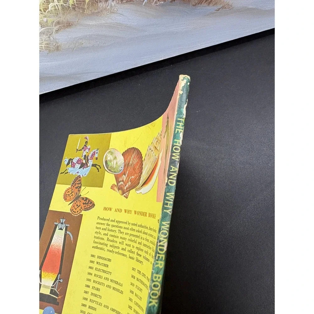 Vintage 1962 How and Why Wonder Book of Lost Cities Softcover Irving Robbin 5029